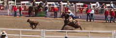 Calgary Stampede-1469